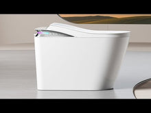Load and play video in Gallery viewer, Smart Toilet-High Version